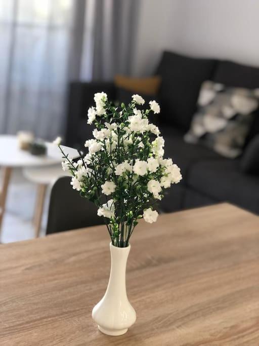 Encantador Apartamento Residencial Con Piscina ตอร์เรโมลิโนส ภายนอก รูปภาพ